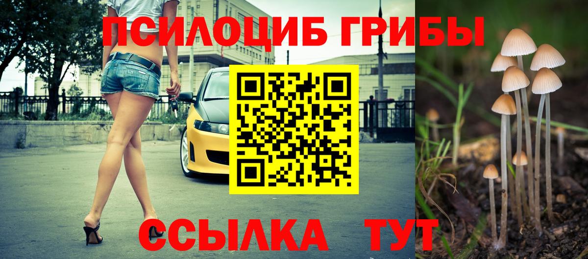 Галлюциногенные грибы Magic Shrooms  Псилоцибиновые грибы ЛСД  Тосно  Вход с VPN 